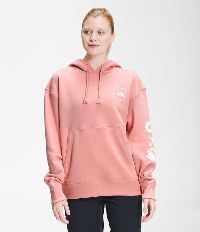 Sudadera Con Capucha The North Face Mujer Himalayan Bottle Source Pullover - Colombia OABZGV687 - Rosas
